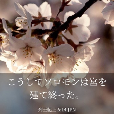 Picture 03 - 列王紀上 6:14 JPN - こうしてソロモンは宮を建て終った - Bible Verse Picture