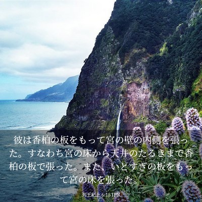 Picture 03 - 列王紀上 6:15 JPN - 彼は香柏の板をもって宮の壁の内側 - Bible Verse Picture