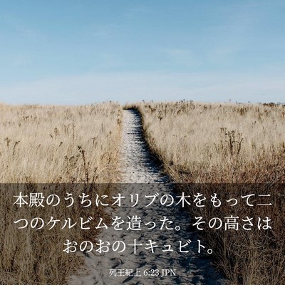 Picture 03 - 列王紀上 6:23 JPN - 本殿のうちにオリブの木をもって二 - Bible Verse Picture