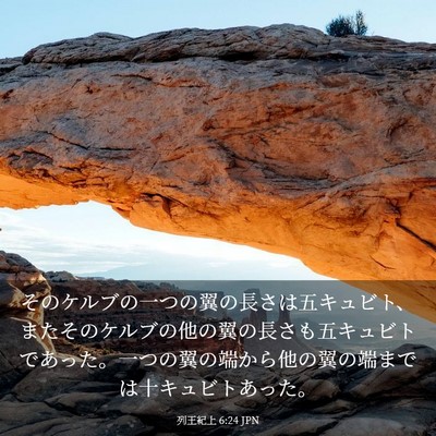 Picture 03 - 列王紀上 6:24 JPN - そのケルブの一つの翼の長さは五キ - Bible Verse Picture