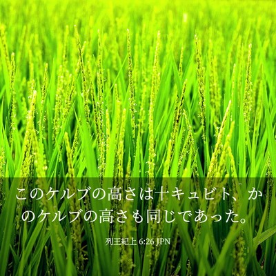 Picture 03 - 列王紀上 6:26 JPN - このケルブの高さは十キュビト、か - Bible Verse Picture