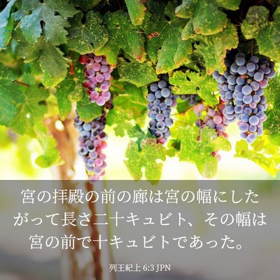 Picture 03 - 列王紀上 6:3 JPN - 宮の拝殿の前の廊は宮の幅にしたが - Bible Verse Picture