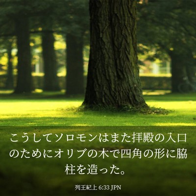 Picture 03 - 列王紀上 6:33 JPN - こうしてソロモンはまた拝殿の入口 - Bible Verse Picture