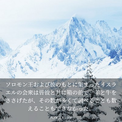 Picture 03 - 列王紀上 8:5 JPN - ソロモン王および彼のもとに集まっ - Bible Verse Picture