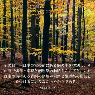 Picture 03 - 列王紀上 8:64 JPN - その日、王は主の宮の前にある庭の - Bible Verse Picture