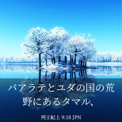 Picture 03 - 列王紀上 9:18 JPN - バアラテとユダの国の荒野にあるタ - Bible Verse Picture