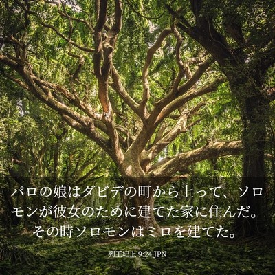 Picture 03 - 列王紀上 9:24 JPN - パロの娘はダビデの町から上って、 - Bible Verse Picture