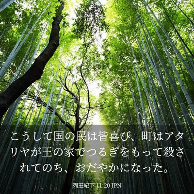 Picture 03 - 列王紀下 11:20 JPN - こうして国の民は皆喜び、町はアタ - Bible Verse Picture