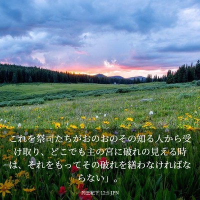 Picture 03 - 列王紀下 12:5 JPN - これを祭司たちがおのおのその知る - Bible Verse Picture