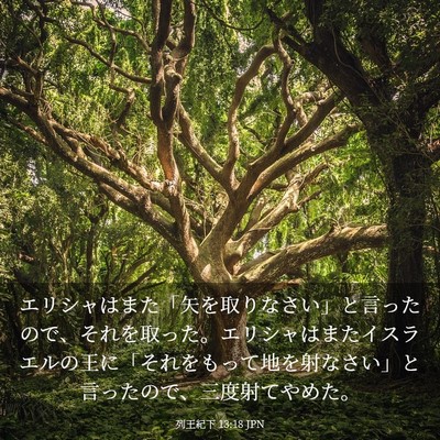 Picture 03 - 列王紀下 13:18 JPN - エリシャはまた「矢を取りなさい」 - Bible Verse Picture