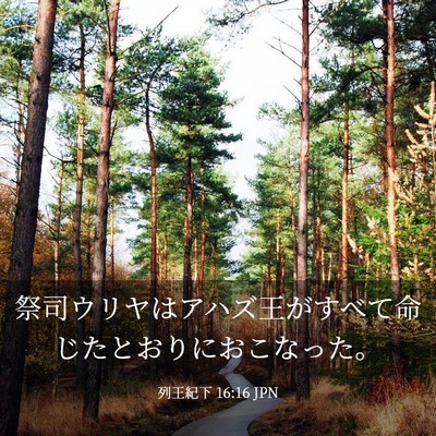 Picture 03 - 列王紀下 16:16 JPN - 祭司ウリヤはアハズ王がすべて命じ - Bible Verse Picture