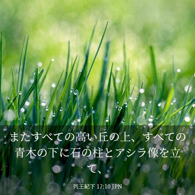 Picture 03 - 列王紀下 17:10 JPN - またすべての高い丘の上、すべての - Bible Verse Picture