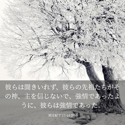 Picture 03 - 列王紀下 17:14 JPN - 彼らは聞きいれず、彼らの先祖たち - Bible Verse Picture
