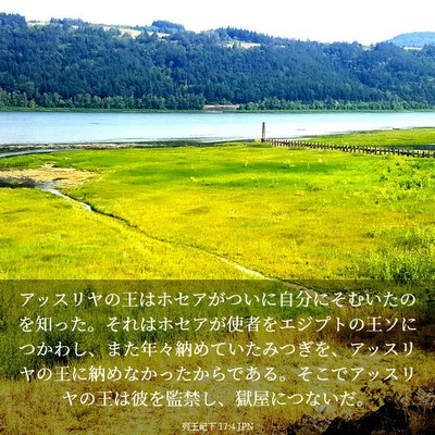 Picture 03 - 列王紀下 17:4 JPN - アッスリヤの王はホセアがついに自 - Bible Verse Picture