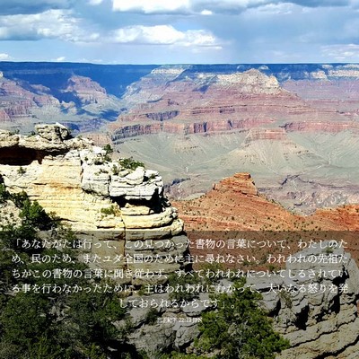 Picture 03 - 列王紀下 22:13 JPN - 「あなたがたは行って、この見つか - Bible Verse Picture