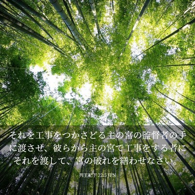 Picture 03 - 列王紀下 22:5 JPN - それを工事をつかさどる主の宮の監 - Bible Verse Picture