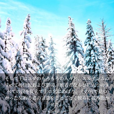 Picture 03 - 列王紀下 23:2 JPN - そして王はユダのもろもろの人々と - Bible Verse Picture