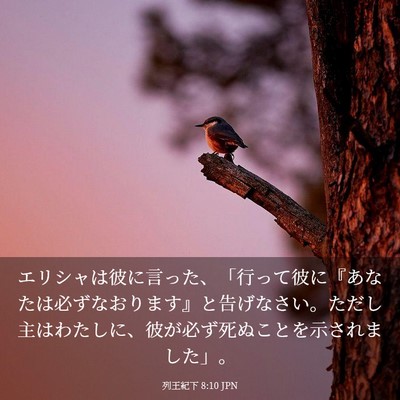 Picture 03 - 列王紀下 8:10 JPN - エリシャは彼に言った、「行って彼 - Bible Verse Picture