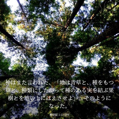 Picture 03 - 創世記 1:11 JPN - 神はまた言われた、「地は青草と、 - Bible Verse Picture