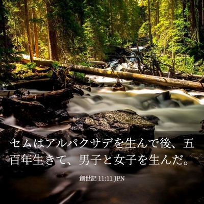 Picture 03 - 創世記 11:11 JPN - セムはアルパクサデを生んで後、五 - Bible Verse Picture