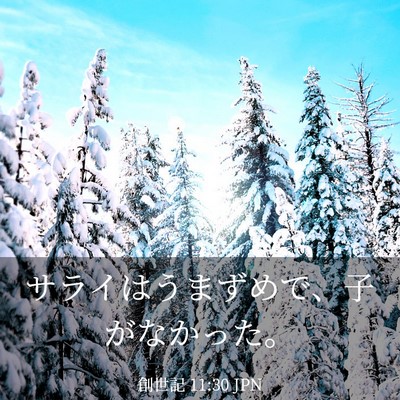 Picture 03 - 創世記 11:30 JPN - サライはうまずめで、子がなかった - Bible Verse Picture