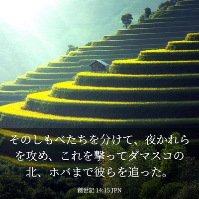 Picture 03 - 創世記 14:15 JPN - そのしもべたちを分けて、夜かれら - Bible Verse Picture