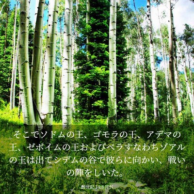Picture 03 - 創世記 14:8 JPN - そこでソドムの王、ゴモラの王、ア - Bible Verse Picture
