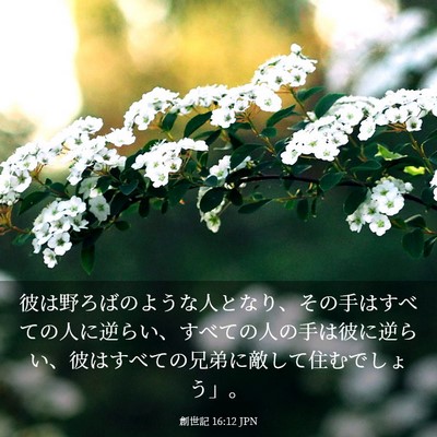 Picture 03 - 創世記 16:12 JPN - 彼は野ろばのような人となり、その - Bible Verse Picture