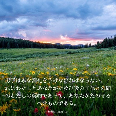 Picture 03 - 創世記 17:10 JPN - 男子はみな割礼をうけなければなら - Bible Verse Picture