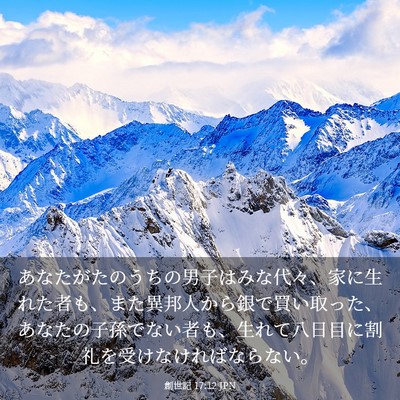 Picture 03 - 創世記 17:12 JPN - あなたがたのうちの男子はみな代々 - Bible Verse Picture