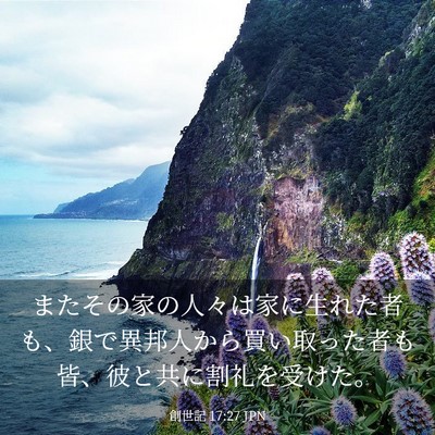 Picture 03 - 創世記 17:27 JPN - またその家の人々は家に生れた者も - Bible Verse Picture