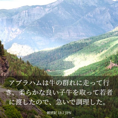 Picture 03 - 創世記 18:7 JPN - アブラハムは牛の群れに走って行き - Bible Verse Picture