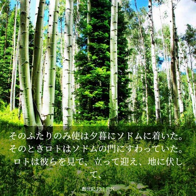 Picture 03 - 創世記 19:1 JPN - そのふたりのみ使は夕暮にソドムに - Bible Verse Picture