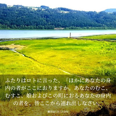 Picture 03 - 創世記 19:12 JPN - ふたりはロトに言った、「ほかにあ - Bible Verse Picture