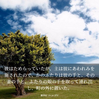 Picture 03 - 創世記 19:16 JPN - 彼はためらっていたが、主は彼にあ - Bible Verse Picture