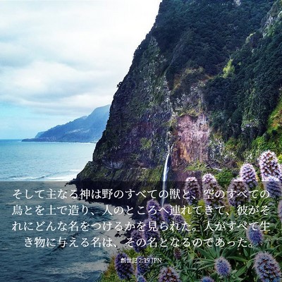 Picture 03 - 創世記 2:19 JPN - そして主なる神は野のすべての獣と - Bible Verse Picture