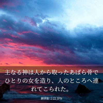 Picture 03 - 創世記 2:22 JPN - 主なる神は人から取ったあばら骨で - Bible Verse Picture