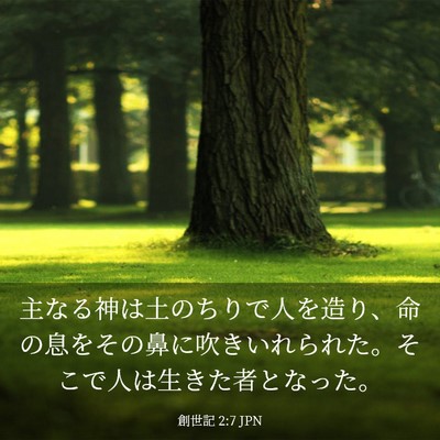 Picture 03 - 創世記 2:7 JPN - 主なる神は土のちりで人を造り、命 - Bible Verse Picture