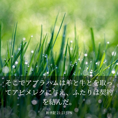 Picture 03 - 創世記 21:27 JPN - そこでアブラハムは羊と牛とを取っ - Bible Verse Picture