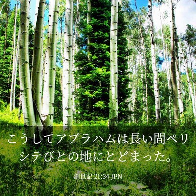 Picture 03 - 創世記 21:34 JPN - こうしてアブラハムは長い間ペリシ - Bible Verse Picture