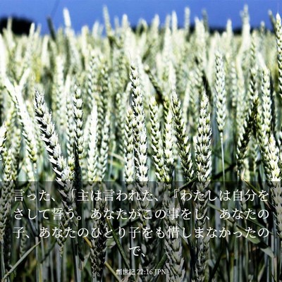 Picture 03 - 創世記 22:16 JPN - 言った、「主は言われた、『わたし - Bible Verse Picture