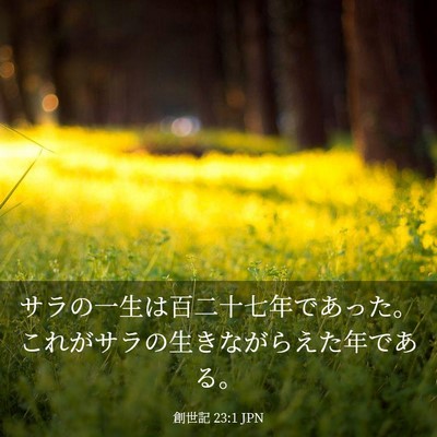Picture 03 - 創世記 23:1 JPN - サラの一生は百二十七年であった。 - Bible Verse Picture