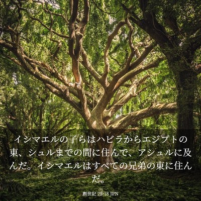 Picture 03 - 創世記 25:18 JPN - イシマエルの子らはハビラからエジ - Bible Verse Picture