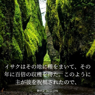 Picture 03 - 創世記 26:12 JPN - イサクはその地に種をまいて、その - Bible Verse Picture