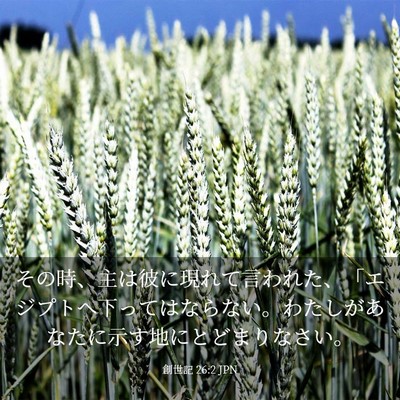 Picture 03 - 創世記 26:2 JPN - その時、主は彼に現れて言われた、 - Bible Verse Picture