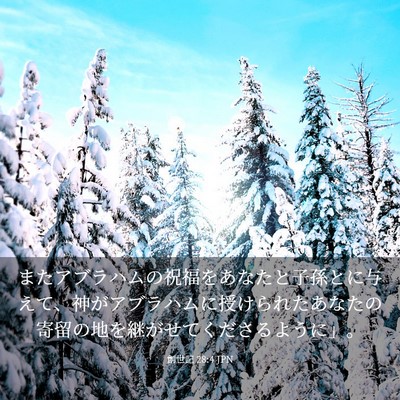Picture 03 - 創世記 28:4 JPN - またアブラハムの祝福をあなたと子 - Bible Verse Picture