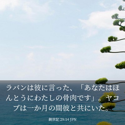 Picture 03 - 創世記 29:14 JPN - ラバンは彼に言った、「あなたはほ - Bible Verse Picture