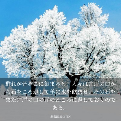 Picture 03 - 創世記 29:3 JPN - 群れが皆そこに集まると、人々は井 - Bible Verse Picture