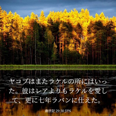Picture 03 - 創世記 29:30 JPN - ヤコブはまたラケルの所にはいった - Bible Verse Picture