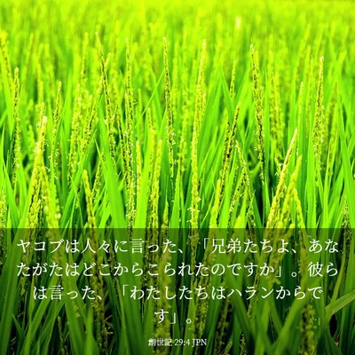 Picture 03 - 創世記 29:4 JPN - ヤコブは人々に言った、「兄弟たち - Bible Verse Picture